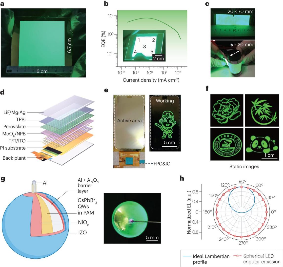 说明: https://news.hust.edu.cn/__local/8/1A/C7/57B6757152CB0FA790FBF86AED6_64233A70_38A9F.png